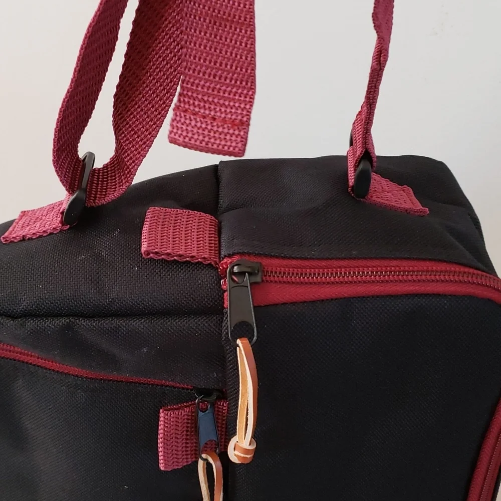 Insulated Wine Tote with 2 Wine Glasses, Napkins, Corkscrew